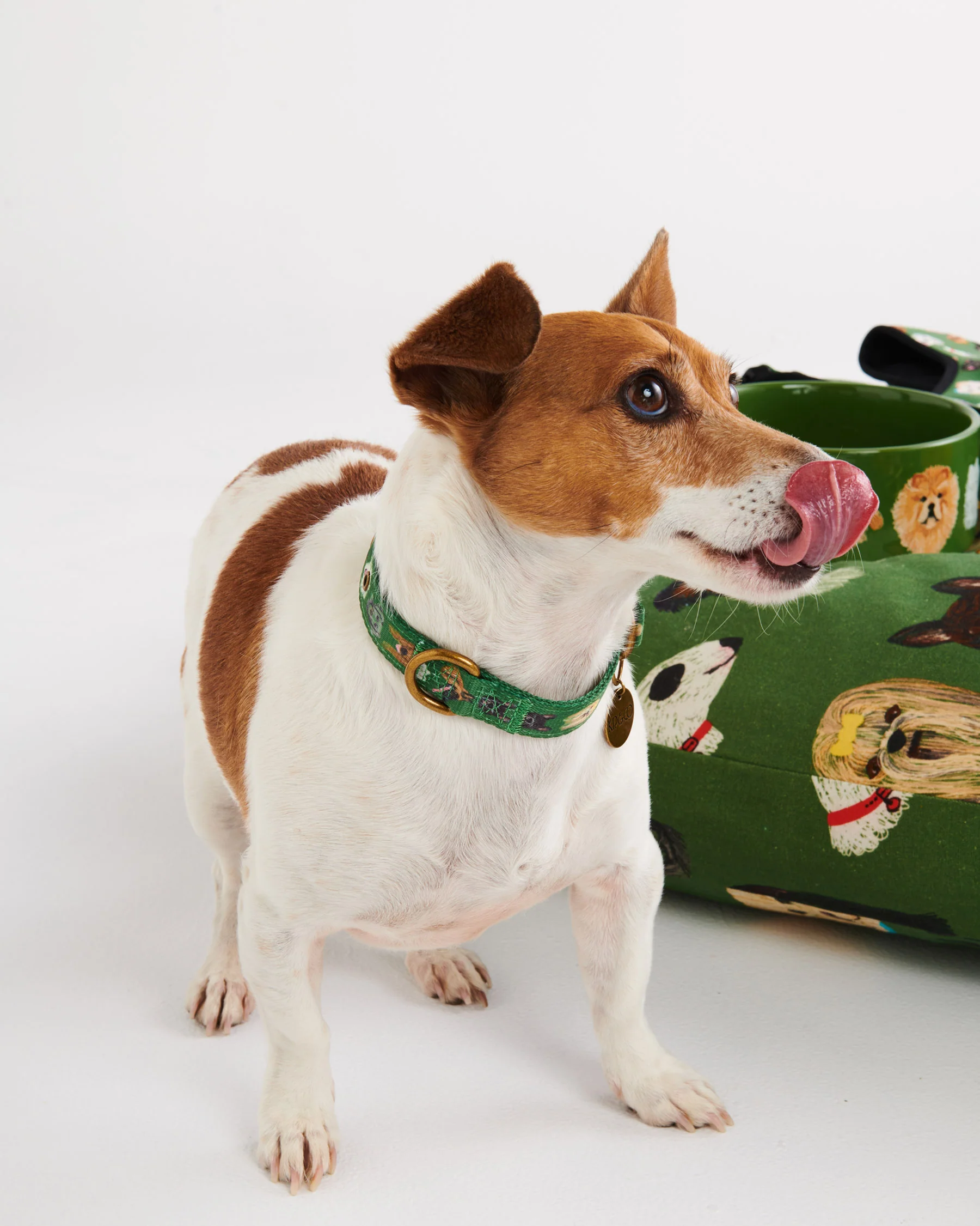 Dog Park Dog Collar - Image 3