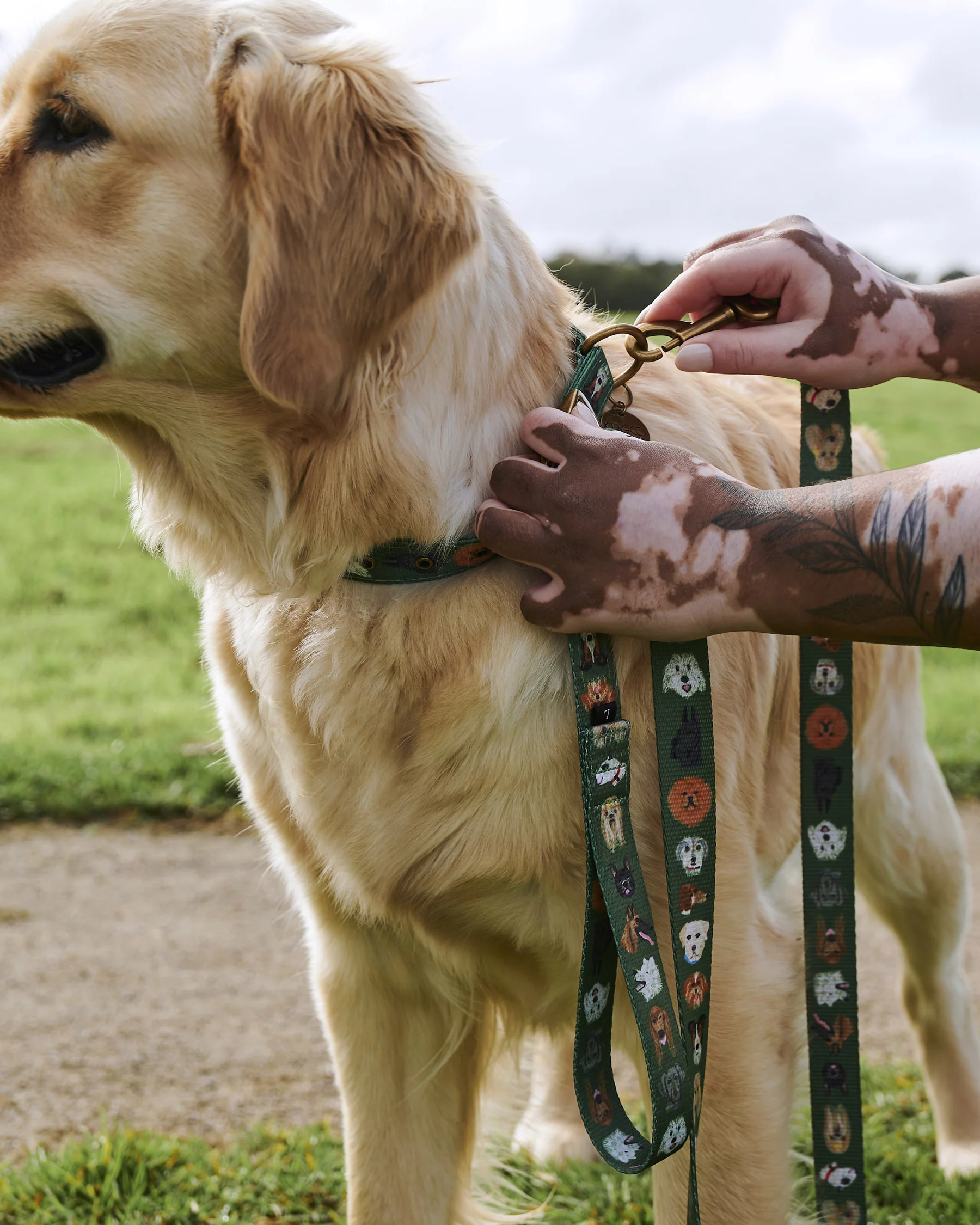 Dog Park Dog Collar - Image 4