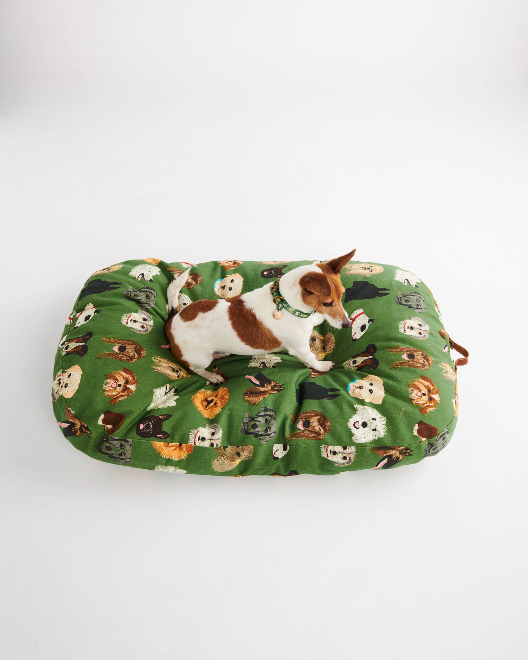 Dog Park Dog Collar - Image 5