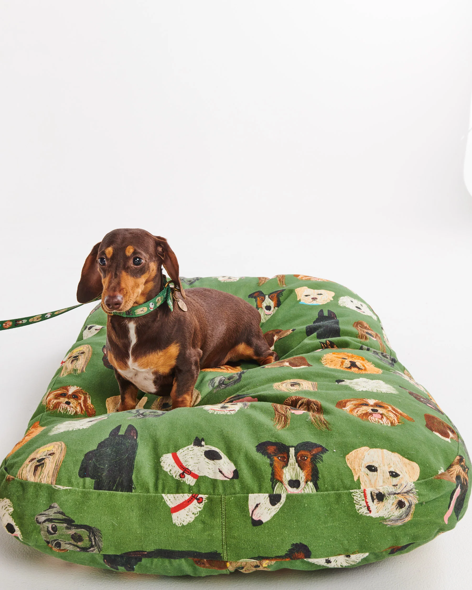Dog Park Dog Collar - Image 6
