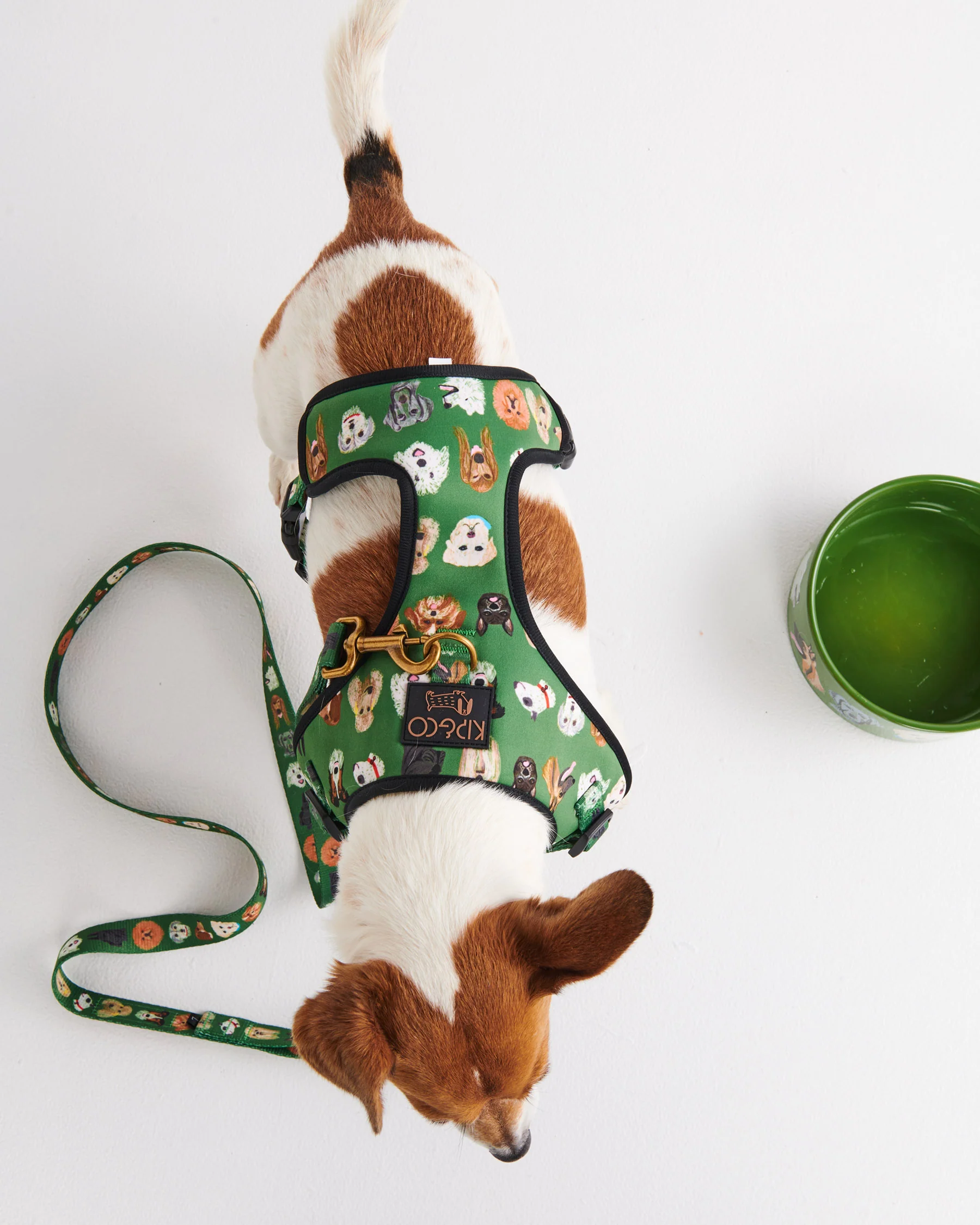 Dog Park Dog Harness - Image 3