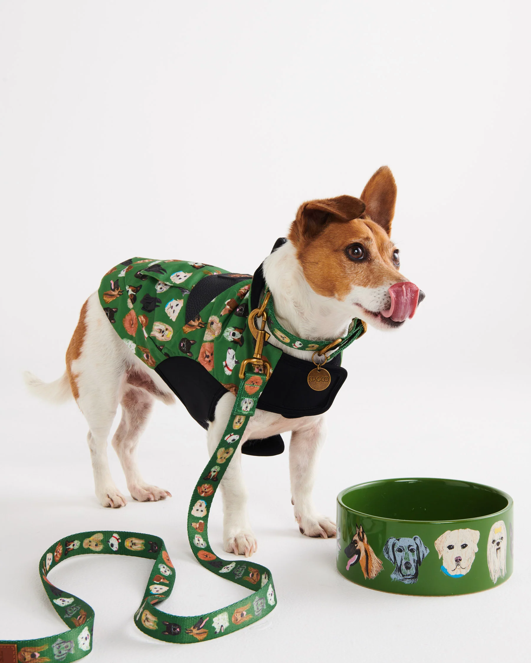 Dog Park Dog Jacket - Image 3