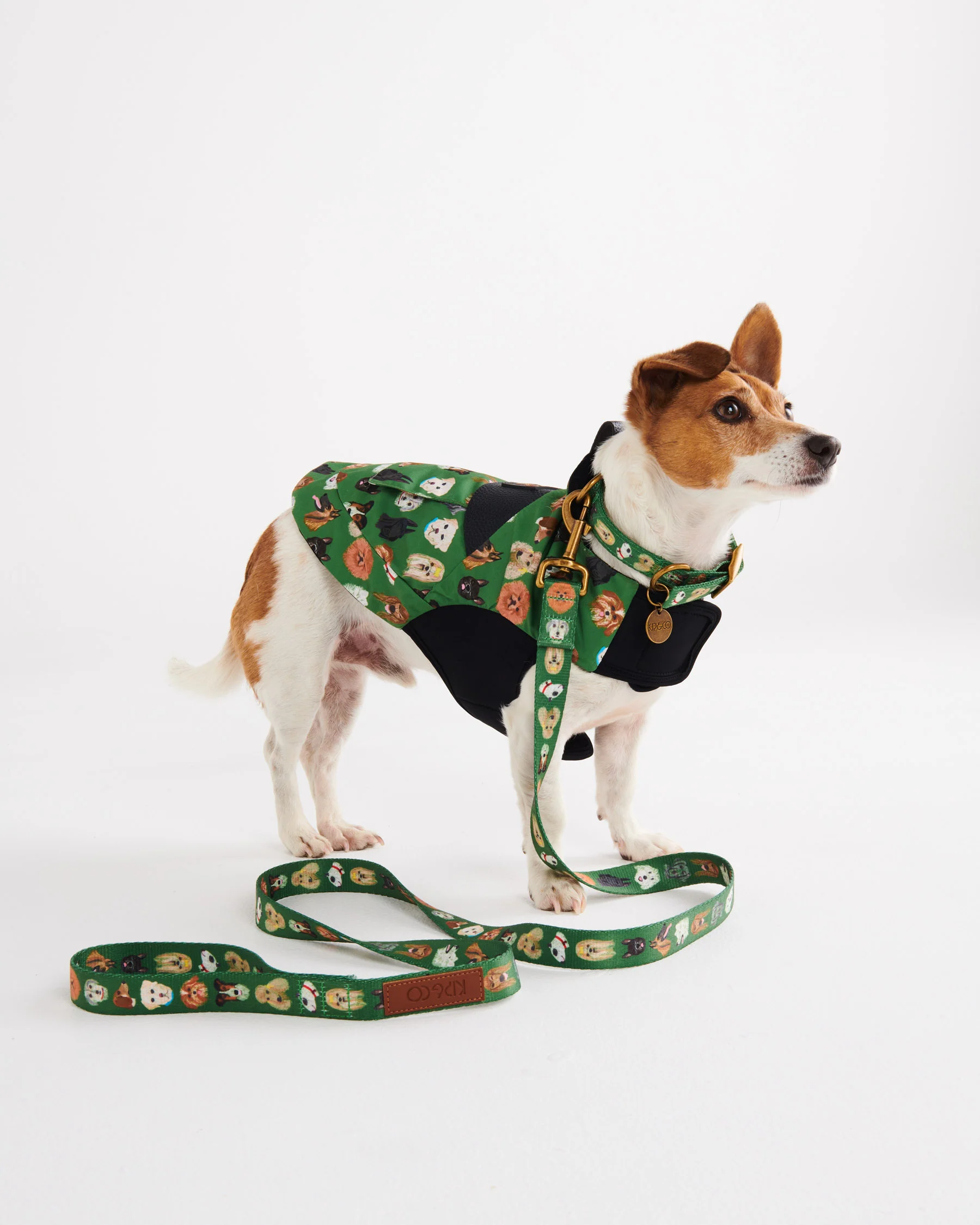 Dog Park Dog Jacket - Image 5