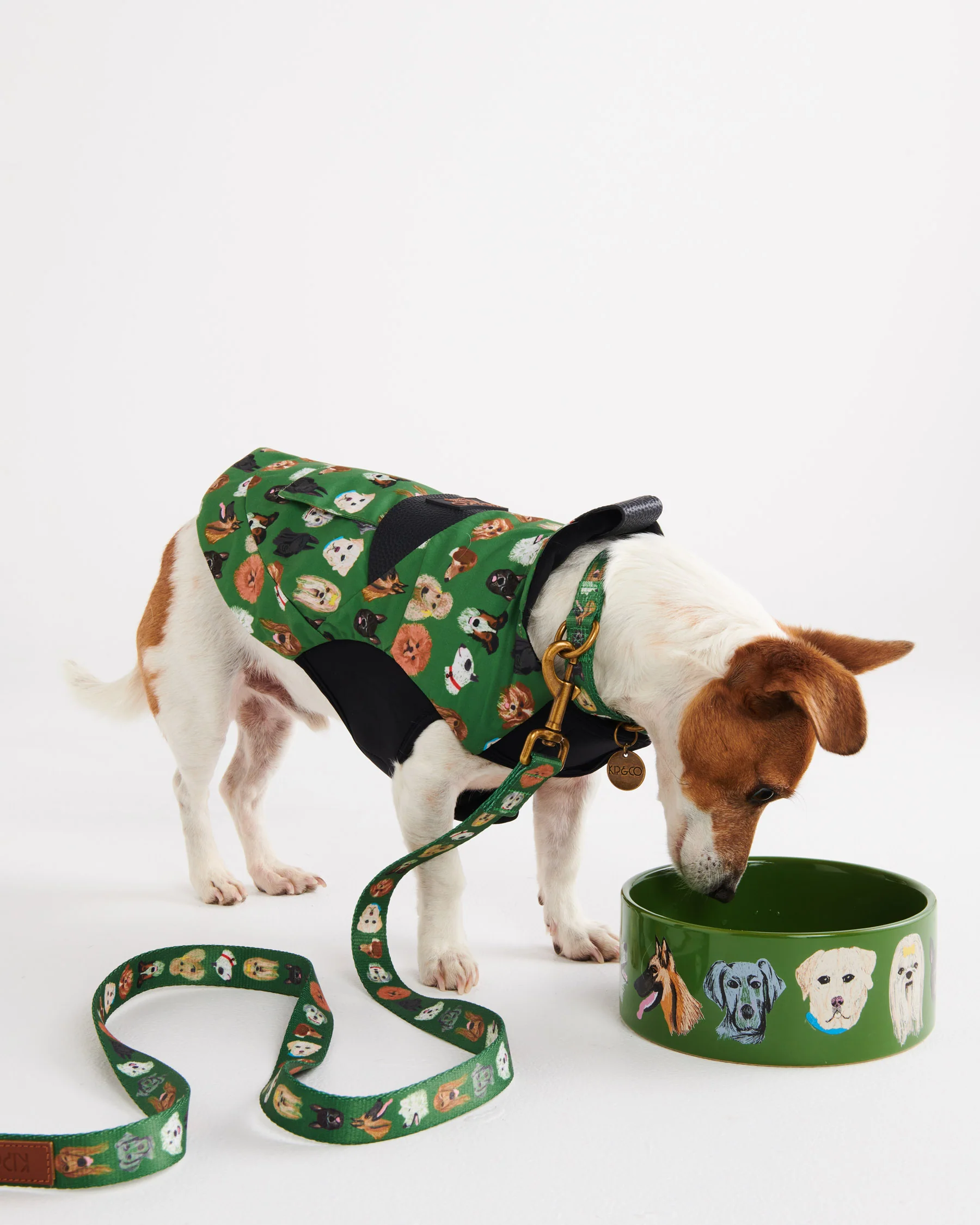Dog Park Dog Jacket - Image 6