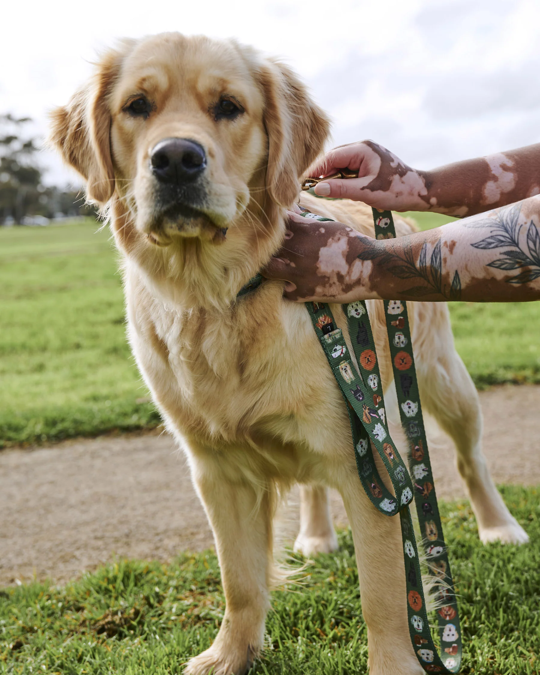 Dog Park Dog Lead - Image 3