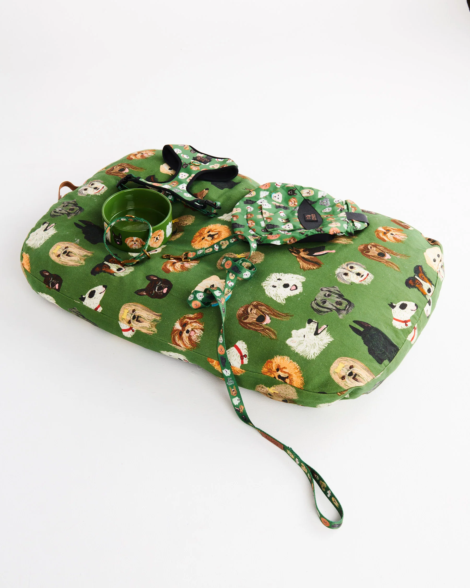 Dog Park Dog Lead - Image 7