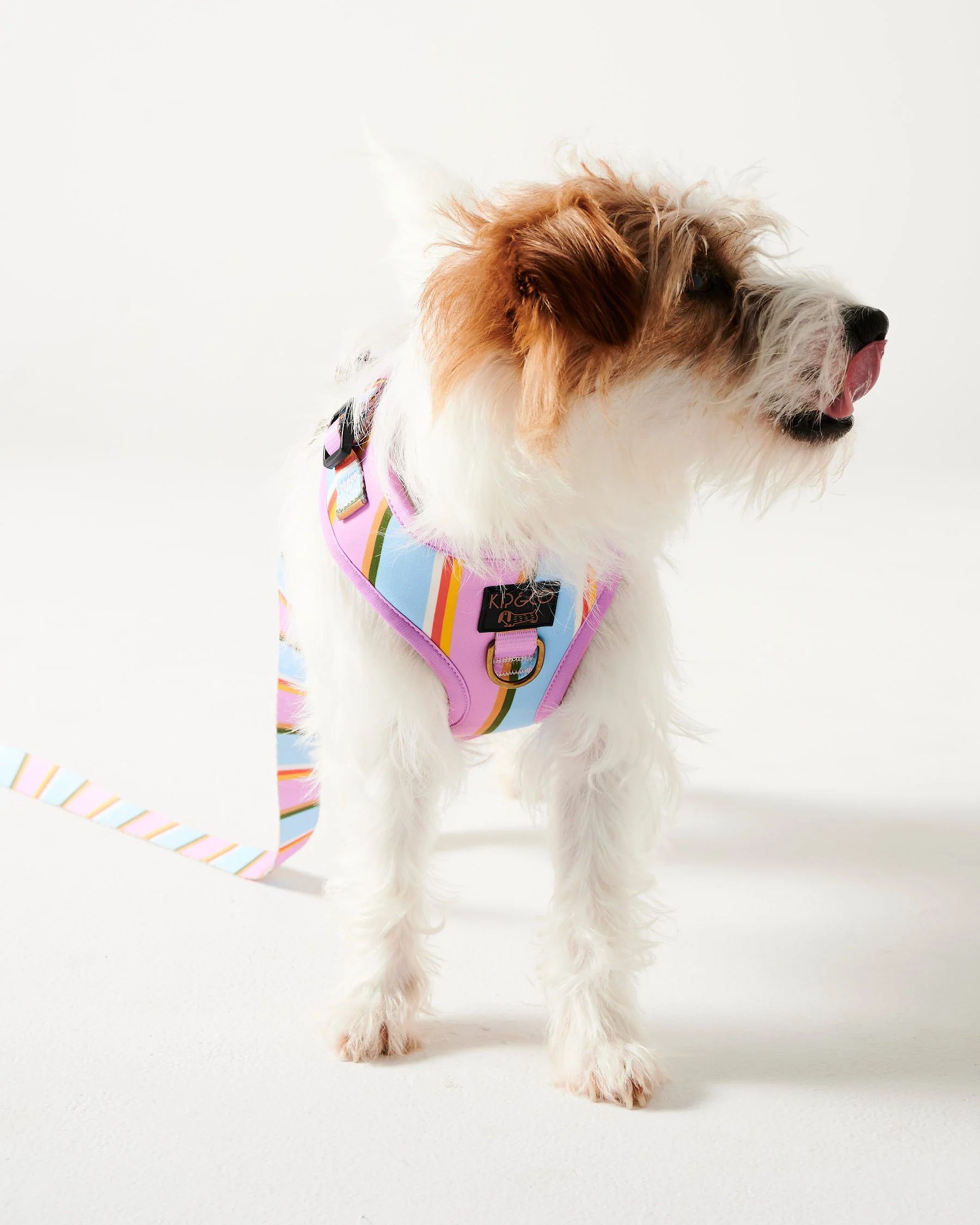 Fez Stripe Dog Harness - Image 2