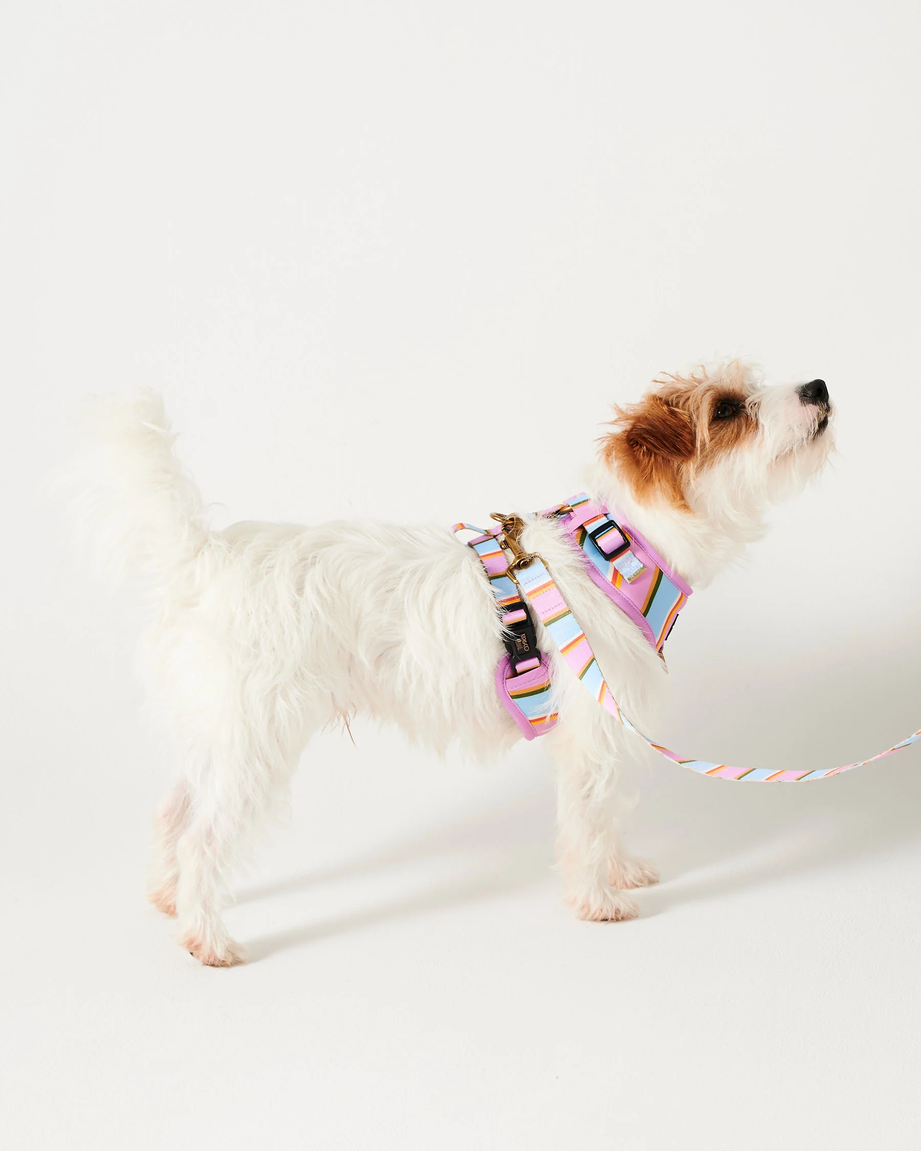 Fez Stripe Dog Harness - Image 3