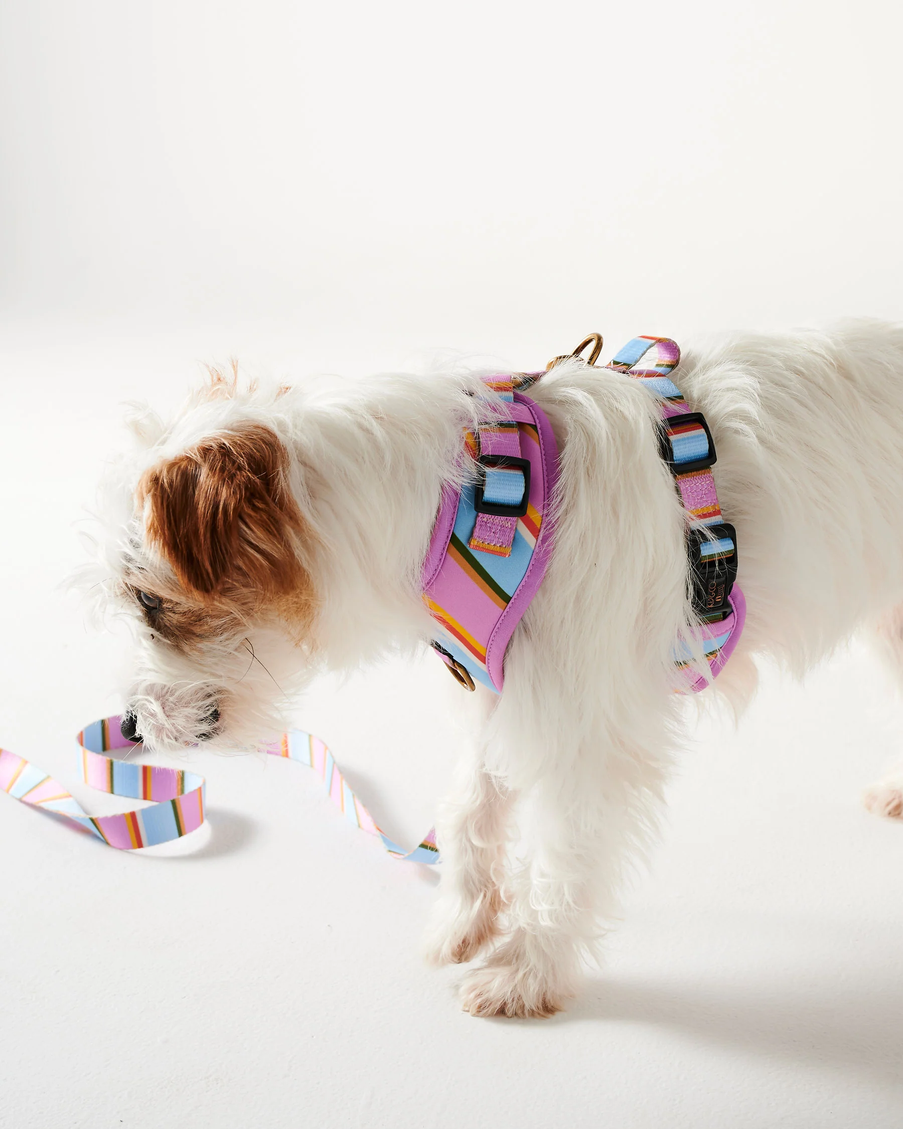 Fez Stripe Dog Harness - Image 4