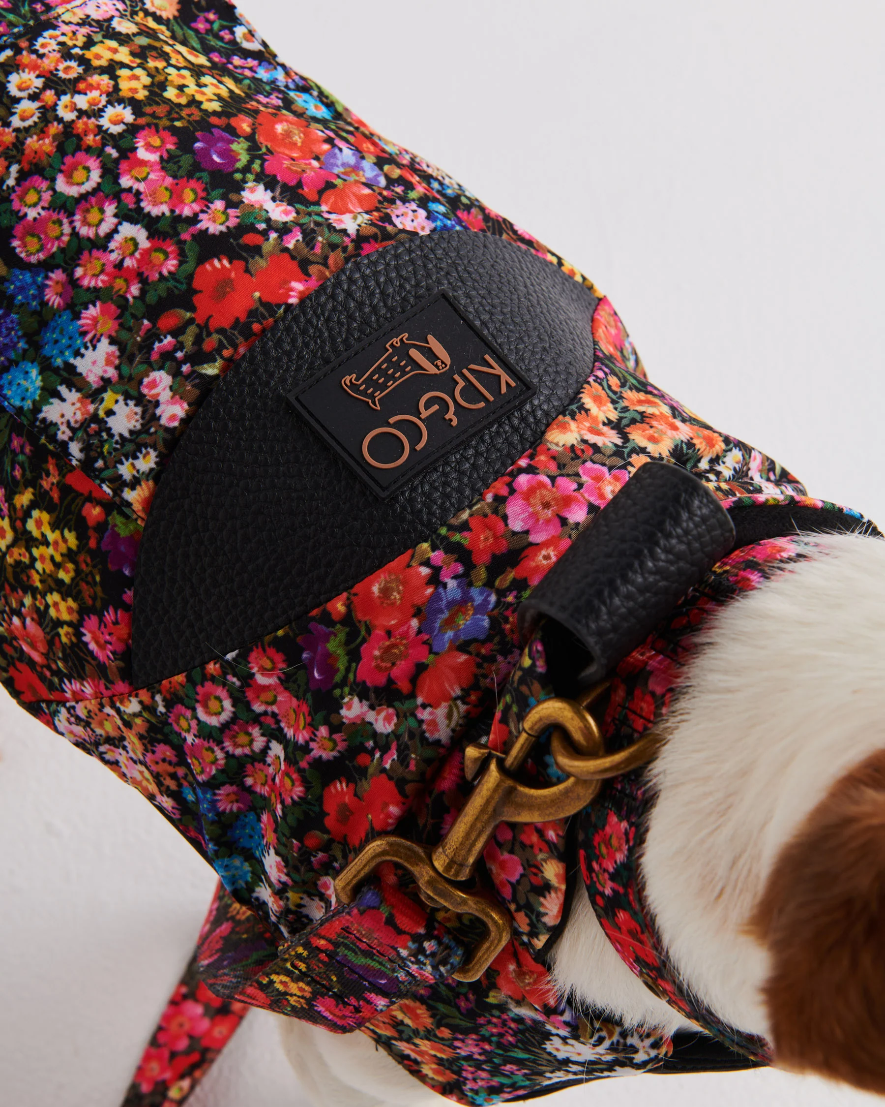 Forever Floral Black Dog Collar - Image 5