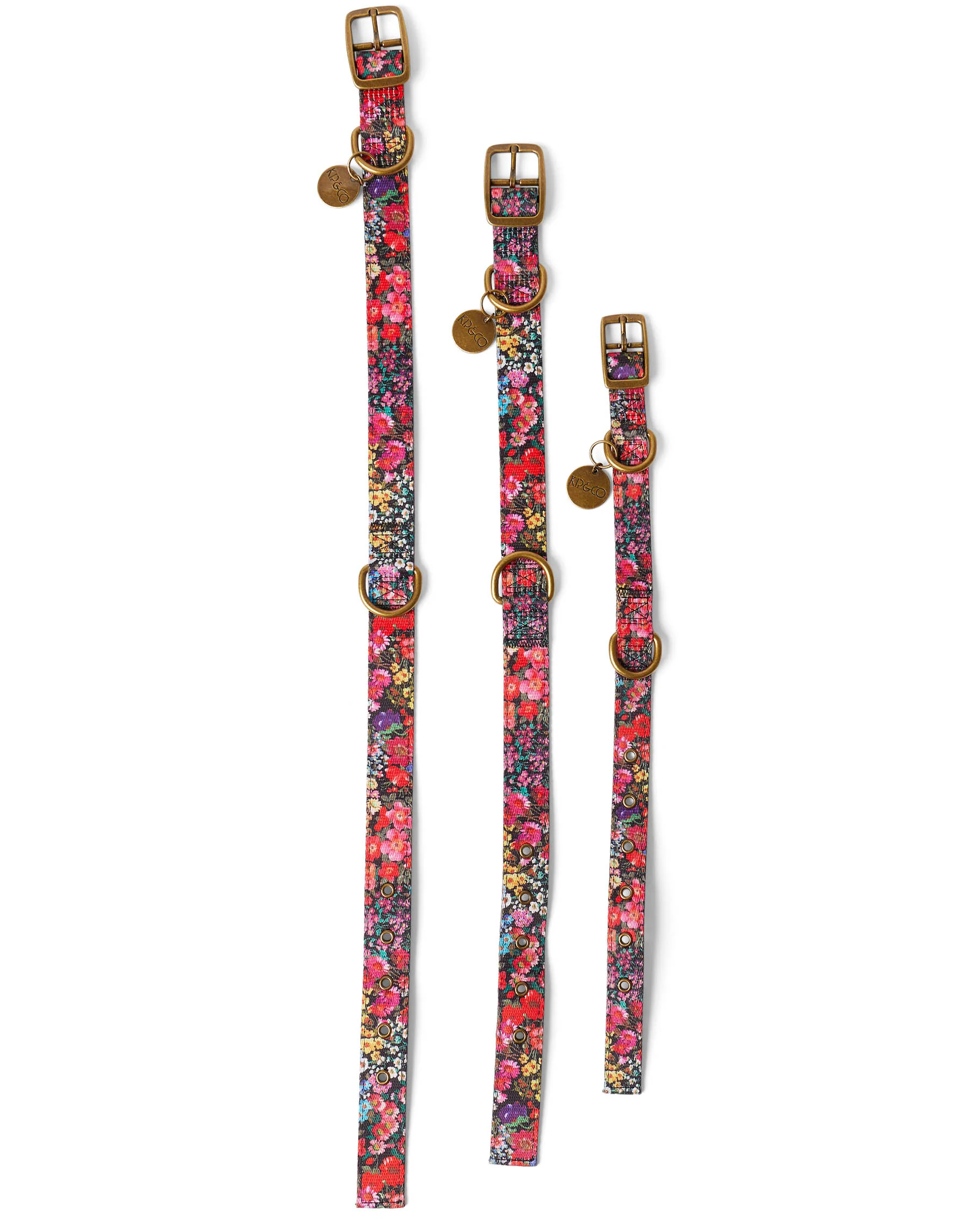 Forever Floral Black Dog Collar - Image 6