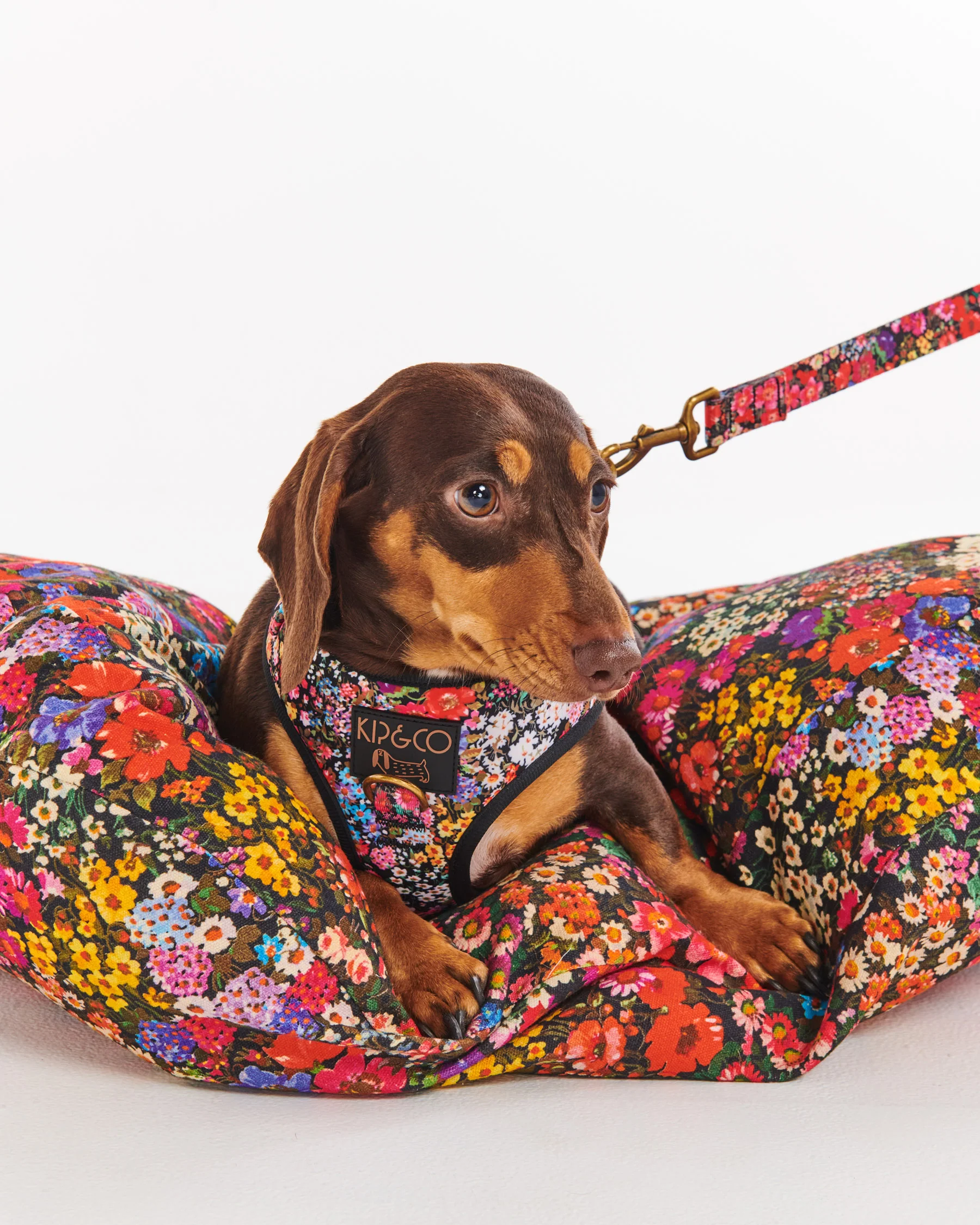 Forever Floral Black Dog Harness - Image 4