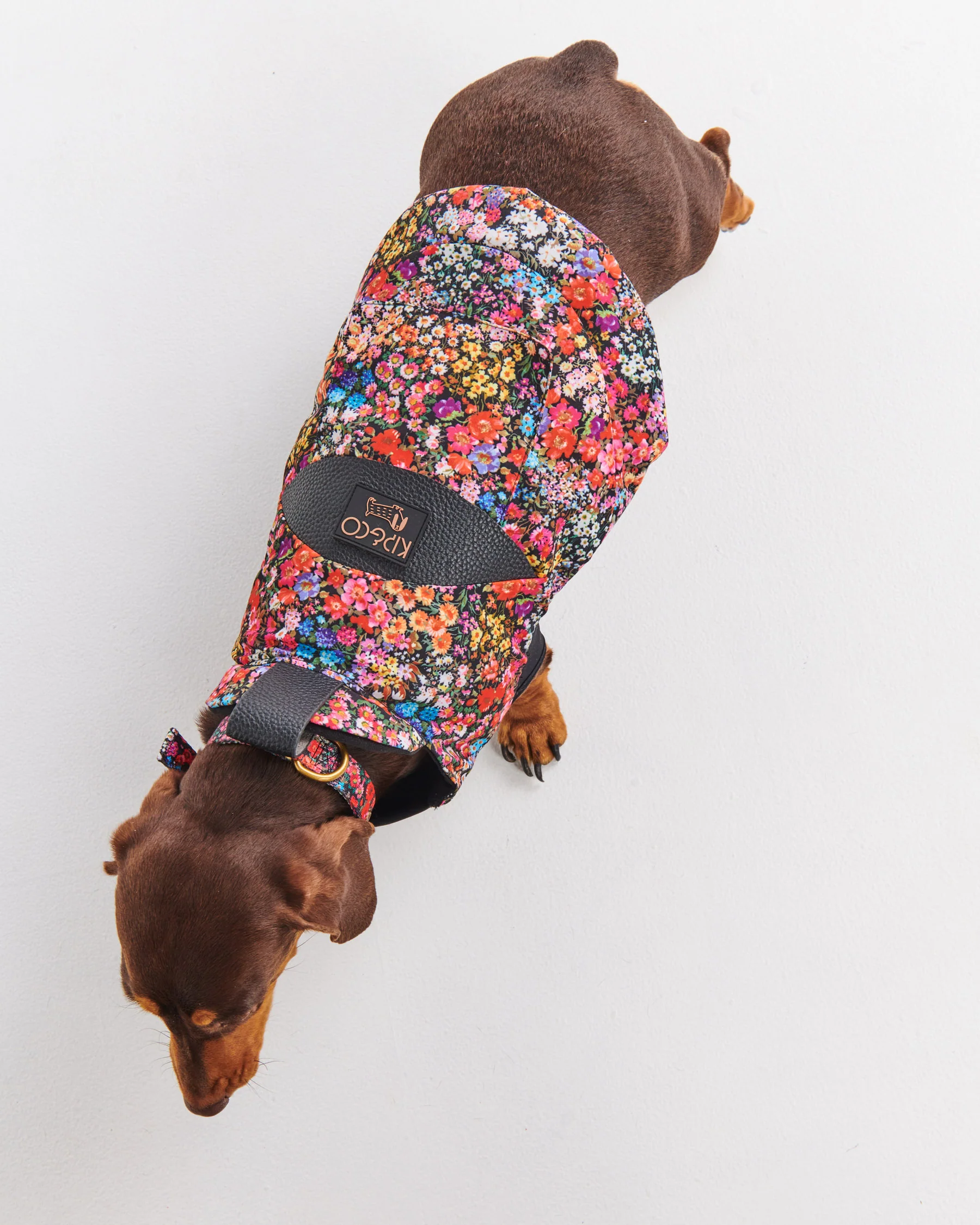 Forever Floral Black Dog Jacket - Image 5