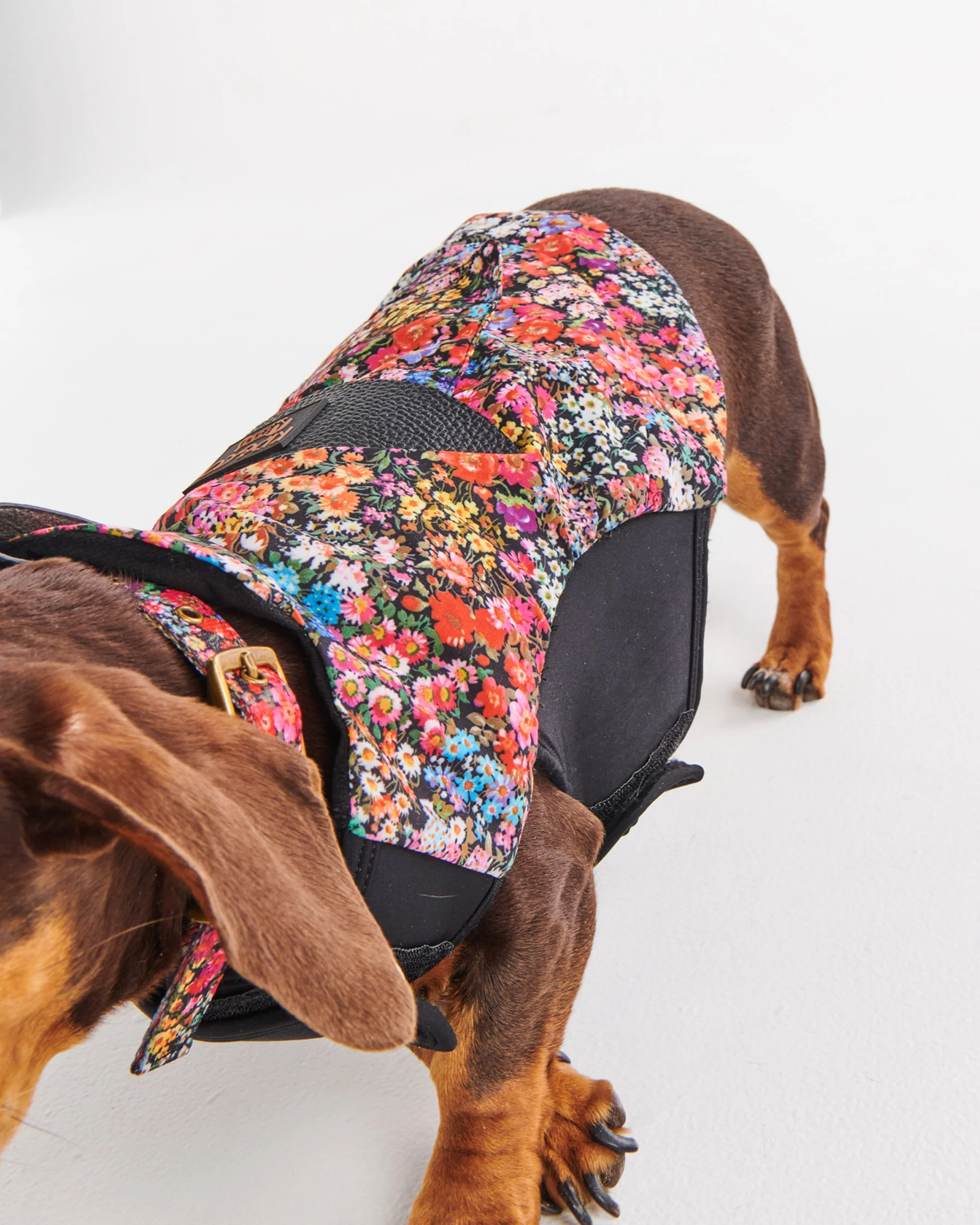 Forever Floral Black Dog Jacket - Image 6