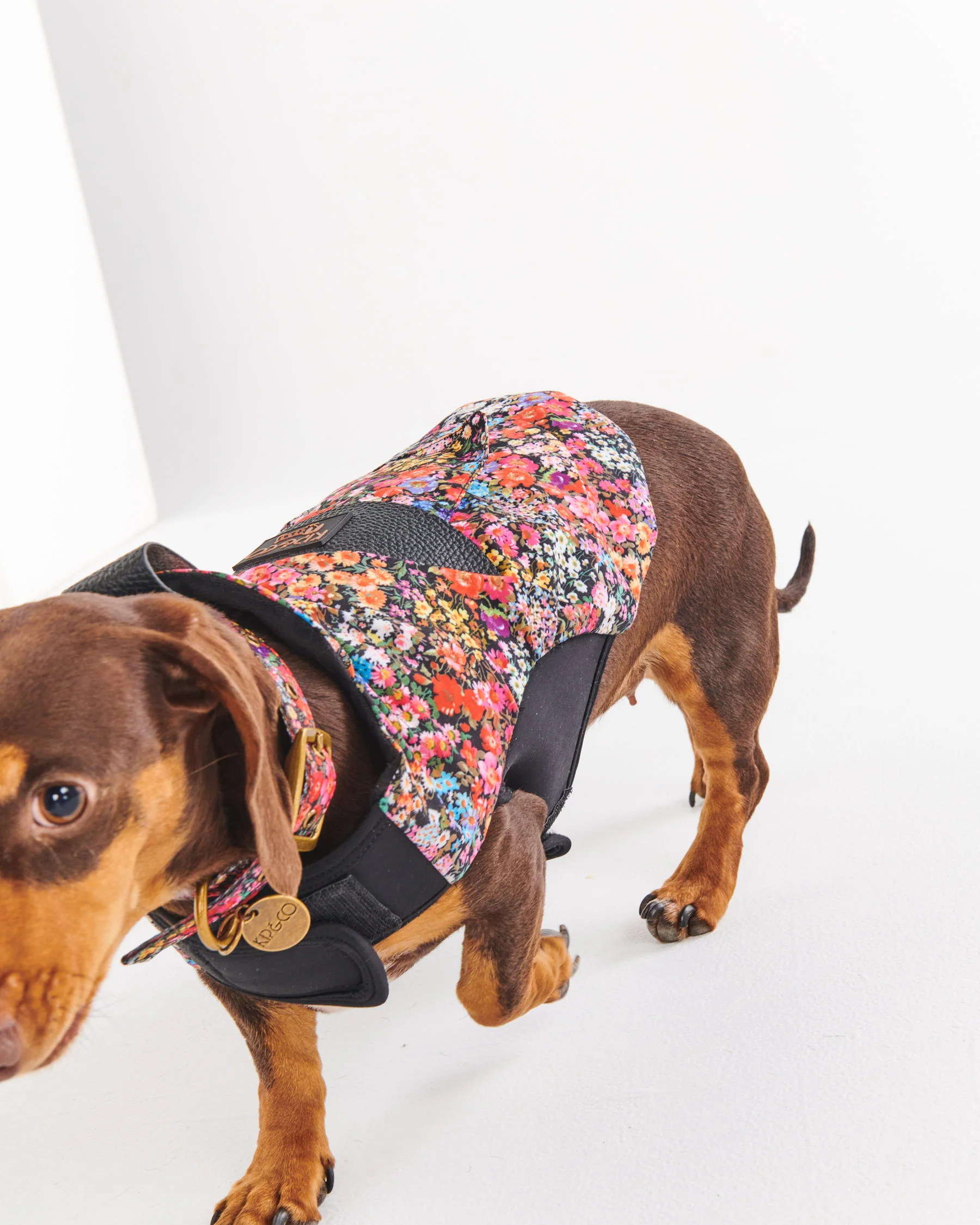 Forever Floral Black Dog Jacket - Image 7