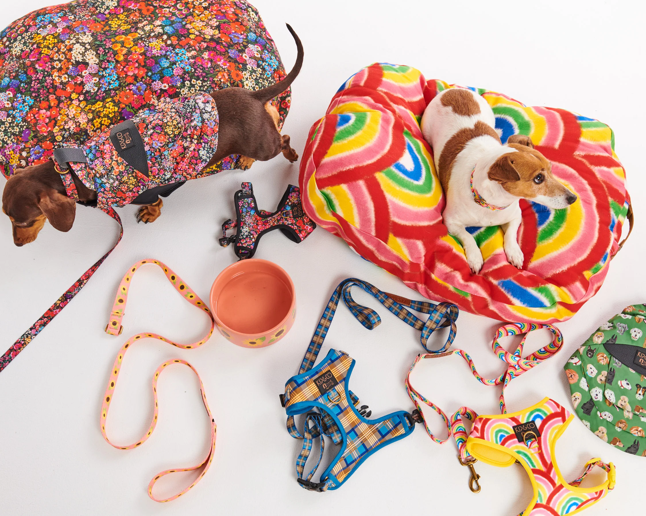 Forever Floral Black Dog Jacket - Image 8