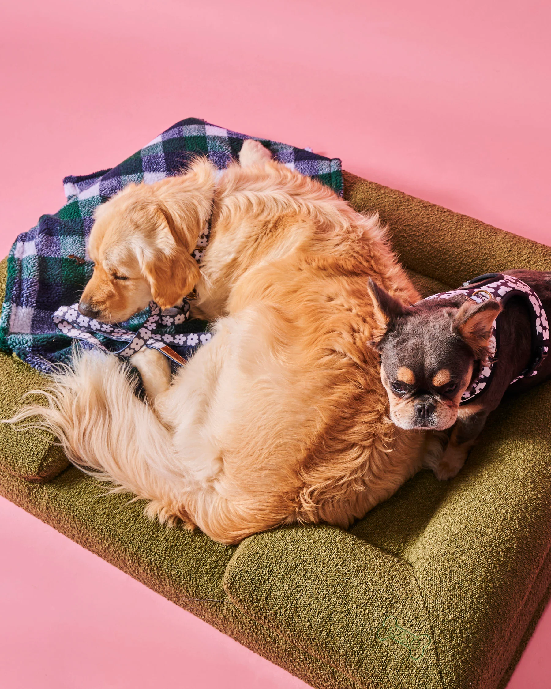 Fred Boucle Dog Bed - Image 2