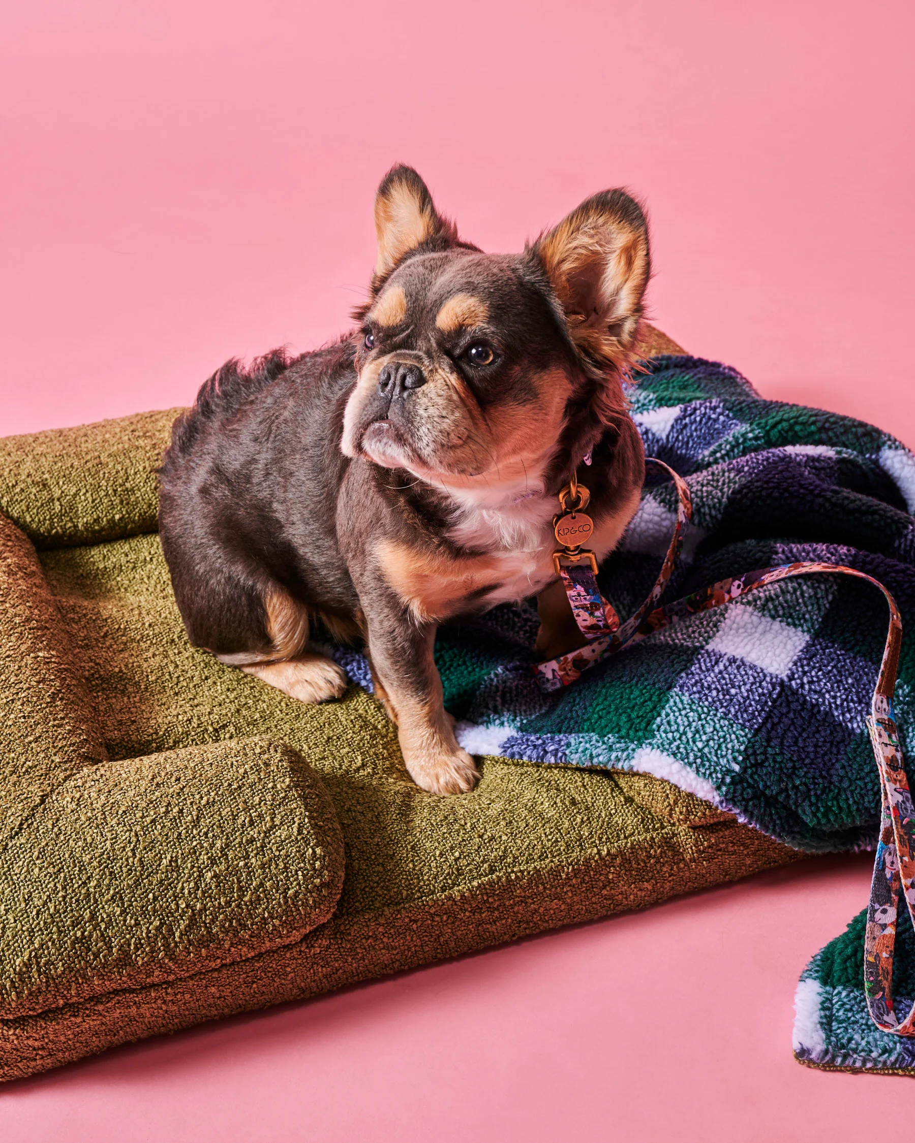 Fred Boucle Dog Bed - Image 4