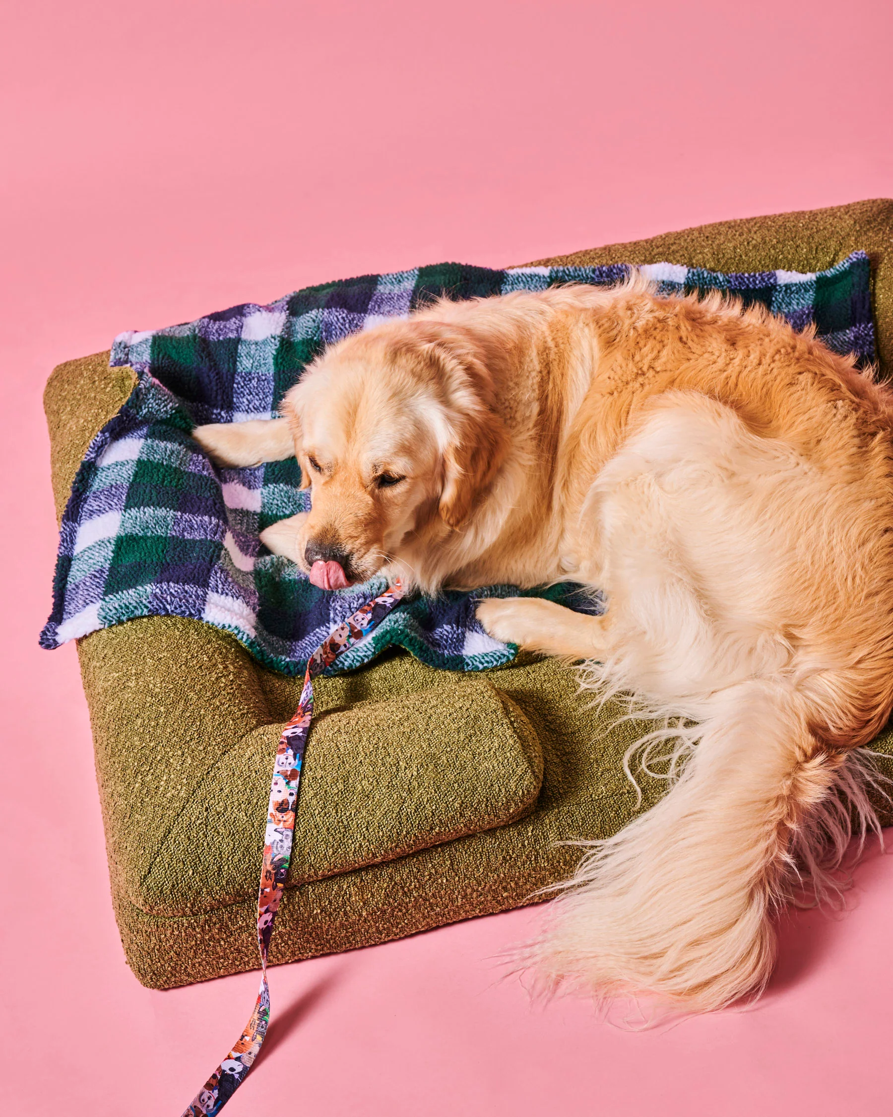 Fred Boucle Dog Bed - Image 6