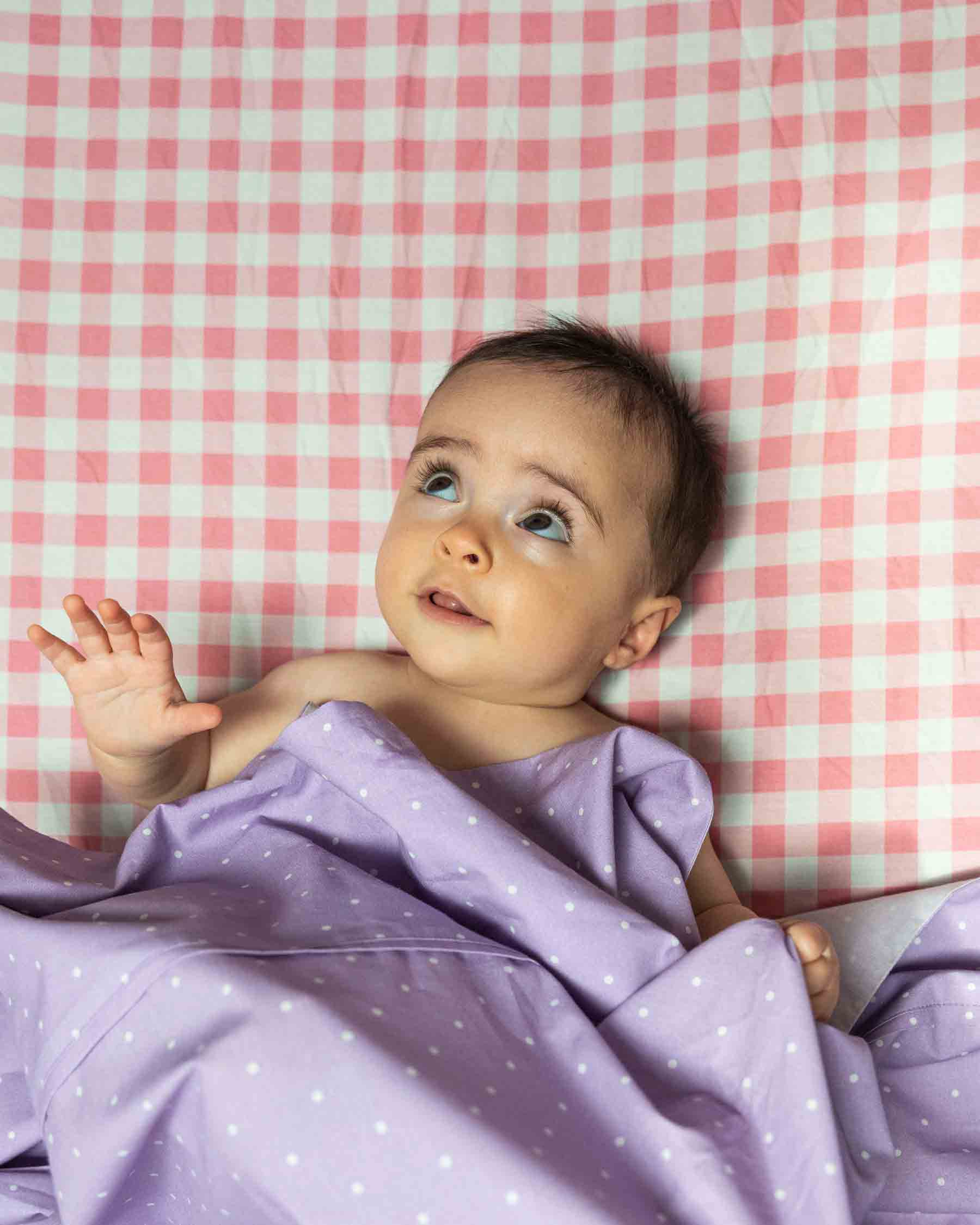 Gingham Candy Organic Cotton Baby Fitted Sheet - Image 3