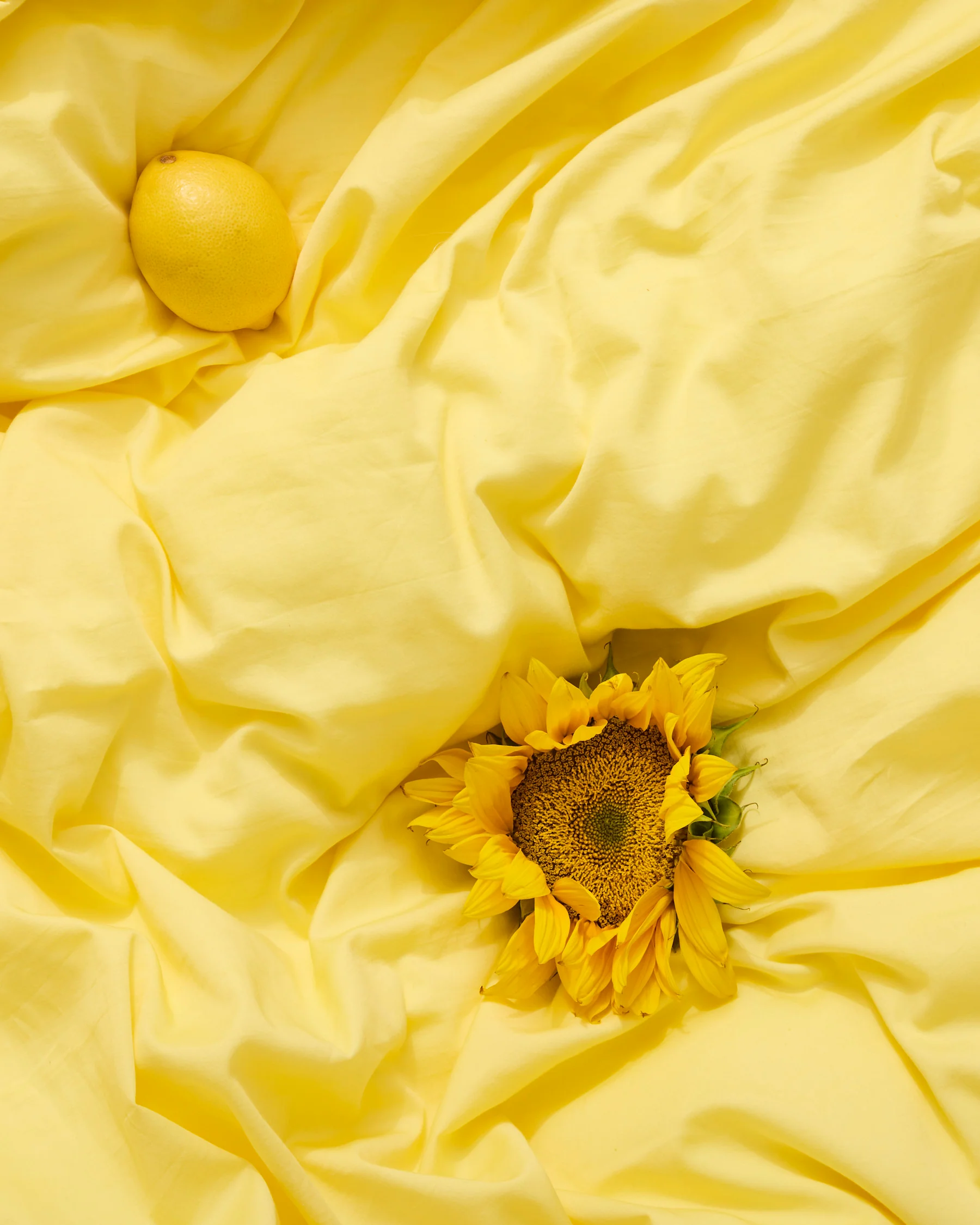 Glow In Lemon Bamboo Cotton Fitted Sheet - Image 2