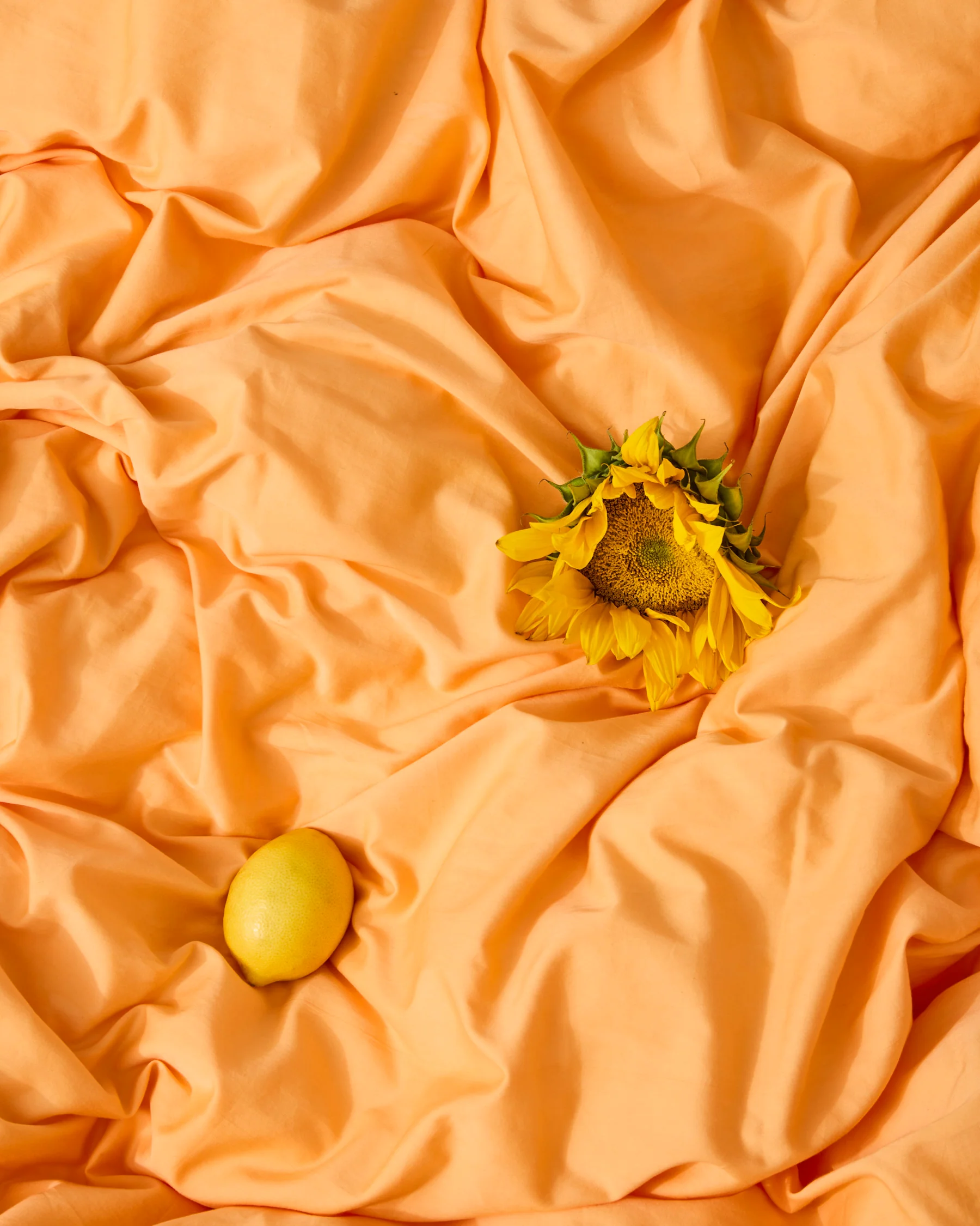 Glow In Yellow Bamboo Cotton Quilt Cover - Image 6