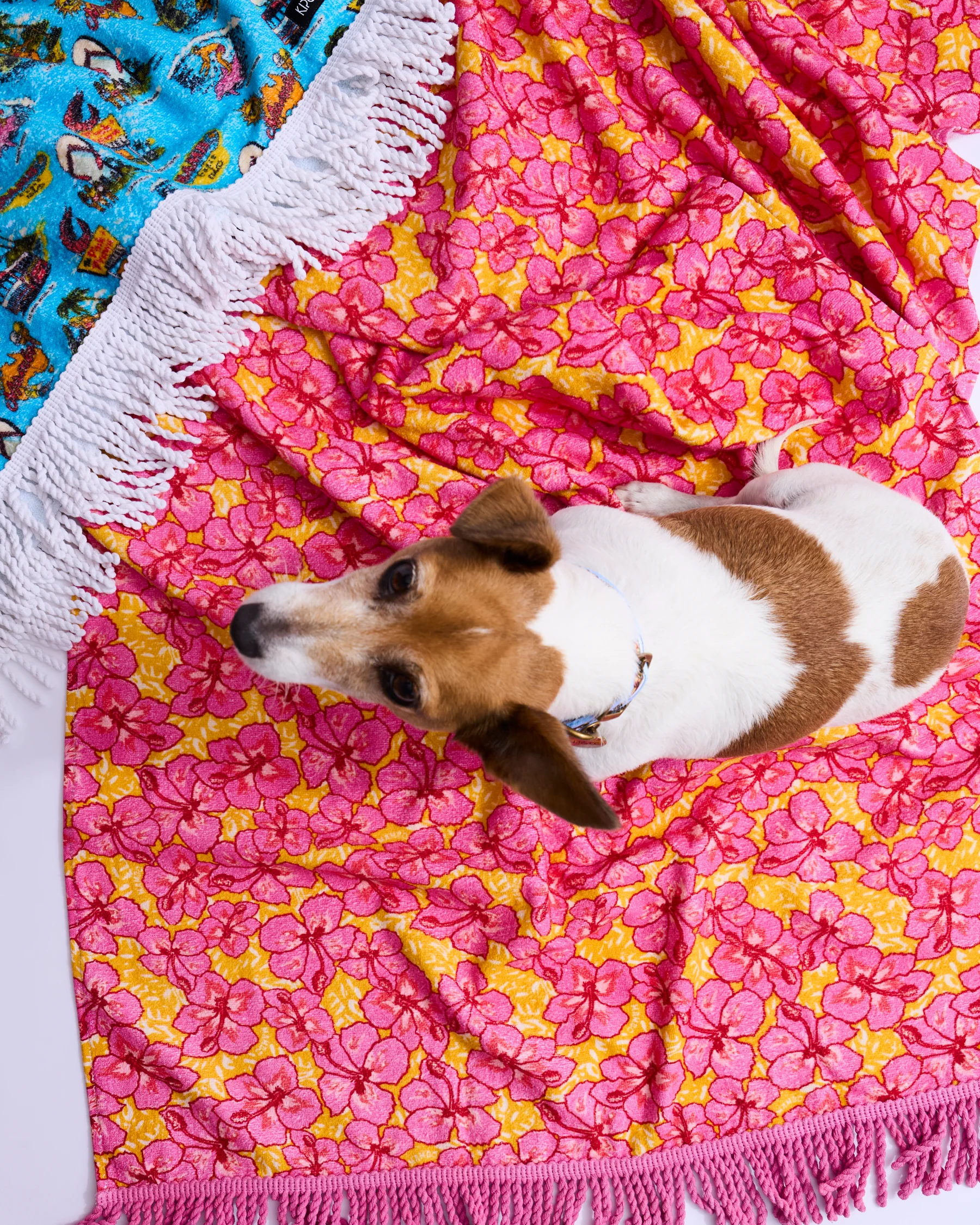 Kip&Co x Mambo Funshine Coast Printed Terry Beach Towel - Image 4