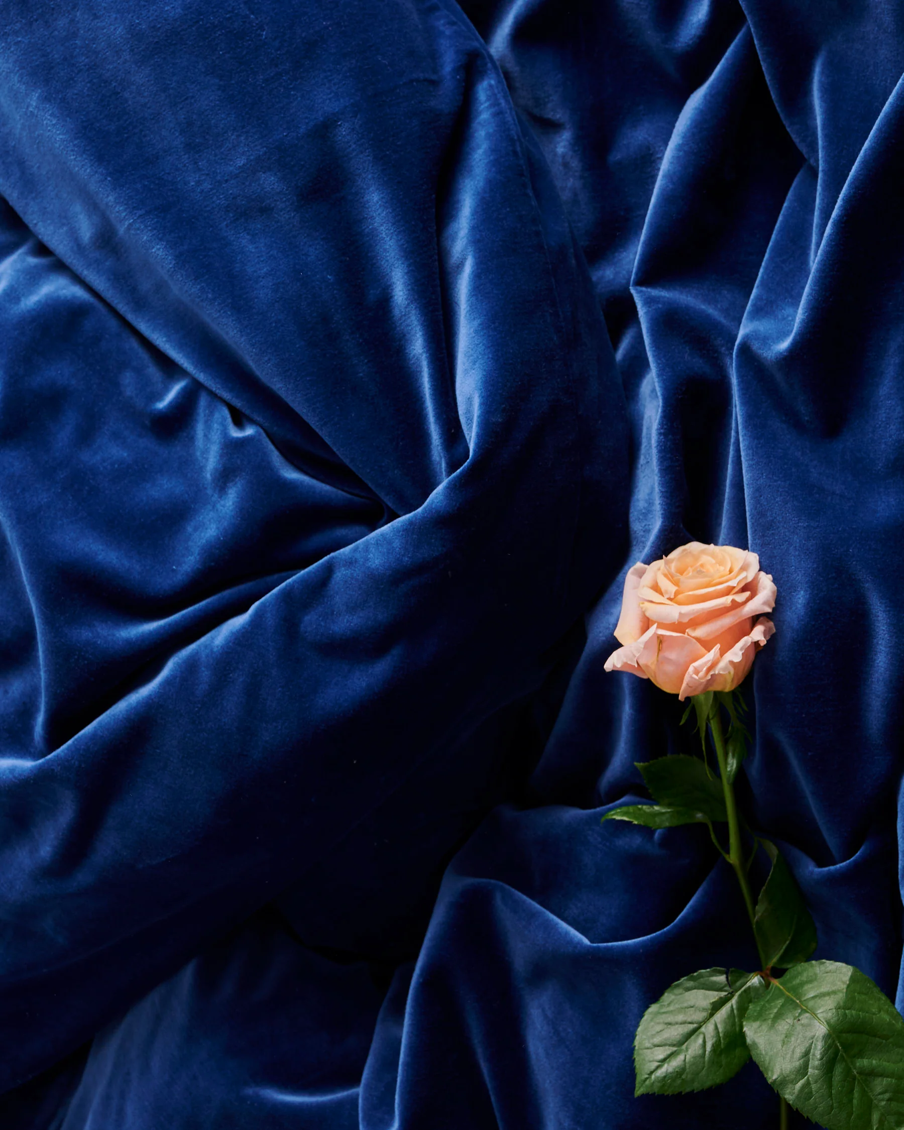 Ocean Velvet European Pillowcases - Image 6