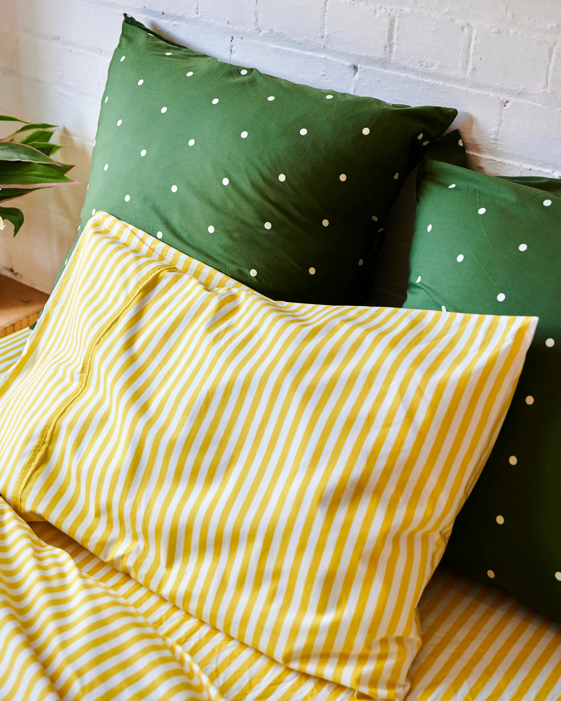 Polkadot Cactus Organic Cotton European Pillowcases - Image 2