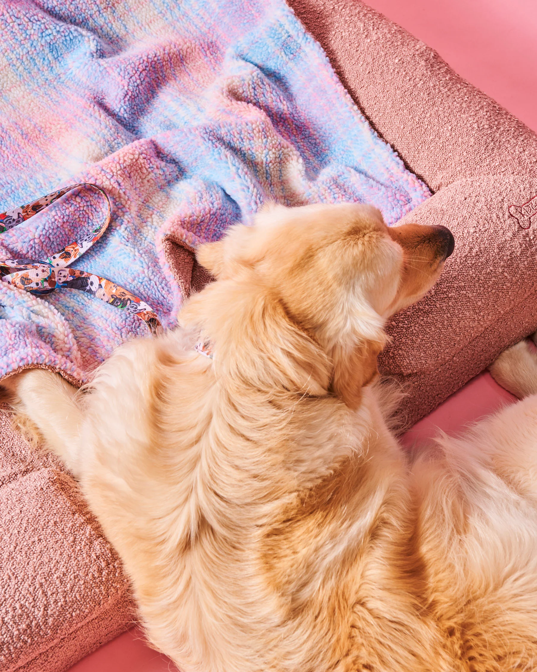 Polly Boucle Sherpa Dog Blanket - Image 6