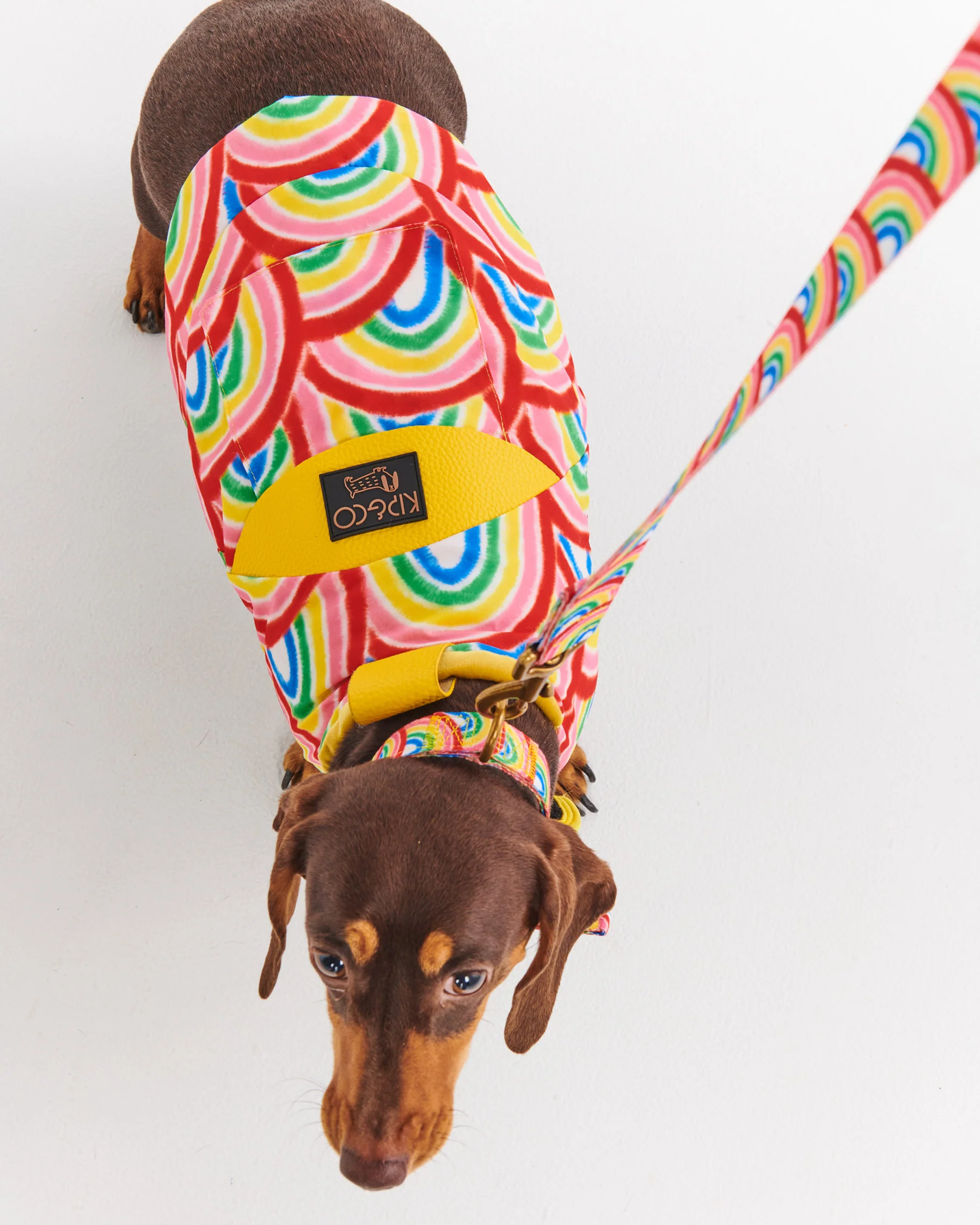 Rainbow Spray Dog Jacket - Image 3