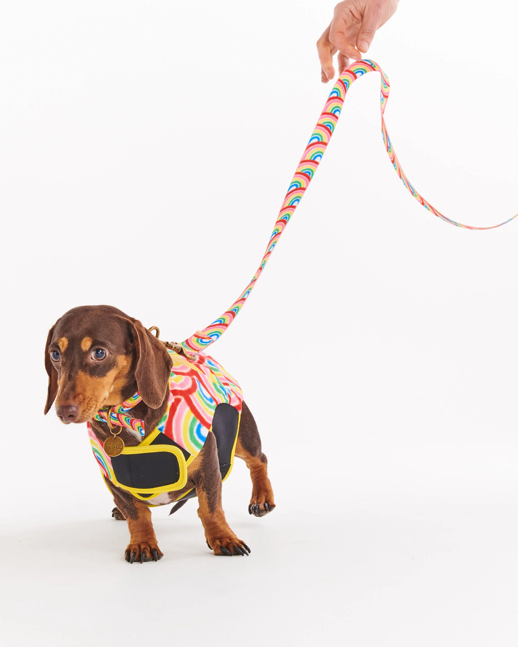Rainbow Spray Dog Jacket - Image 4