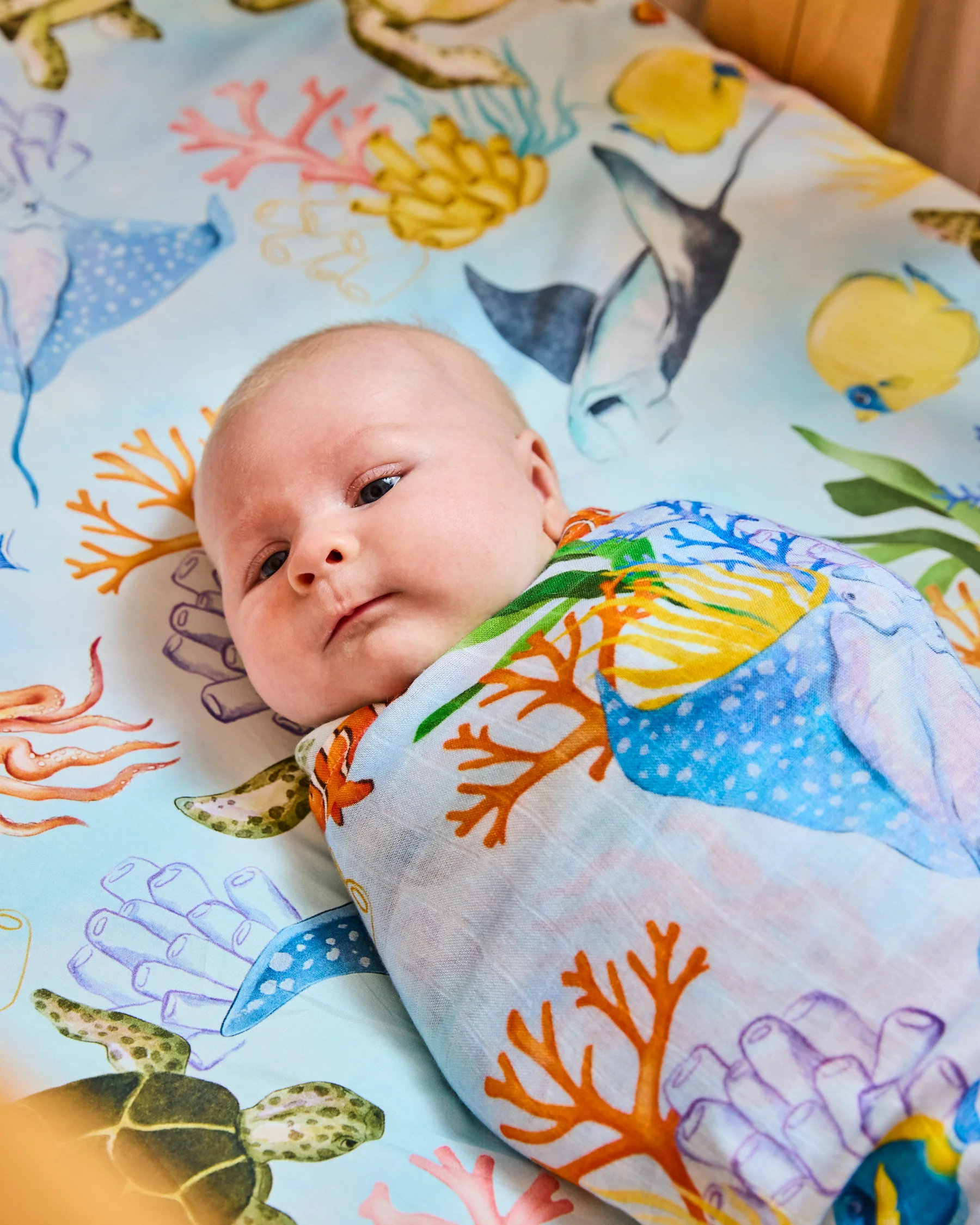 Reef Life Organic Cotton Baby Fitted Sheet - Image 8
