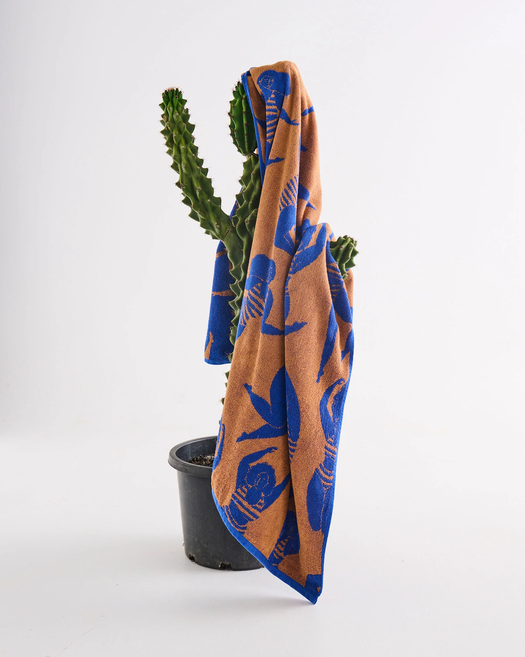 Sun Kissed Terry Beach Towel - Image 7