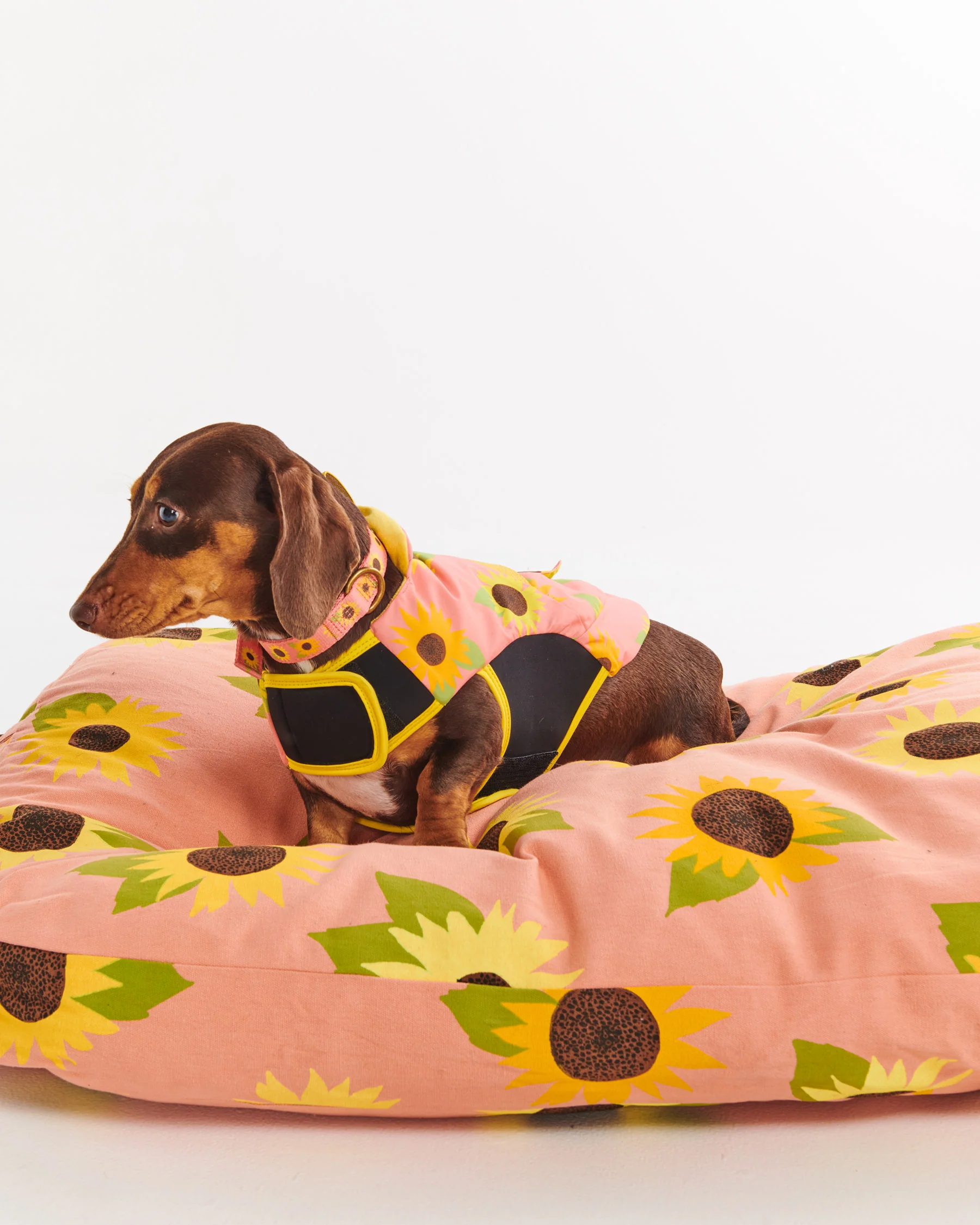 Sunflower Sunshine Dog Jacket - Image 4