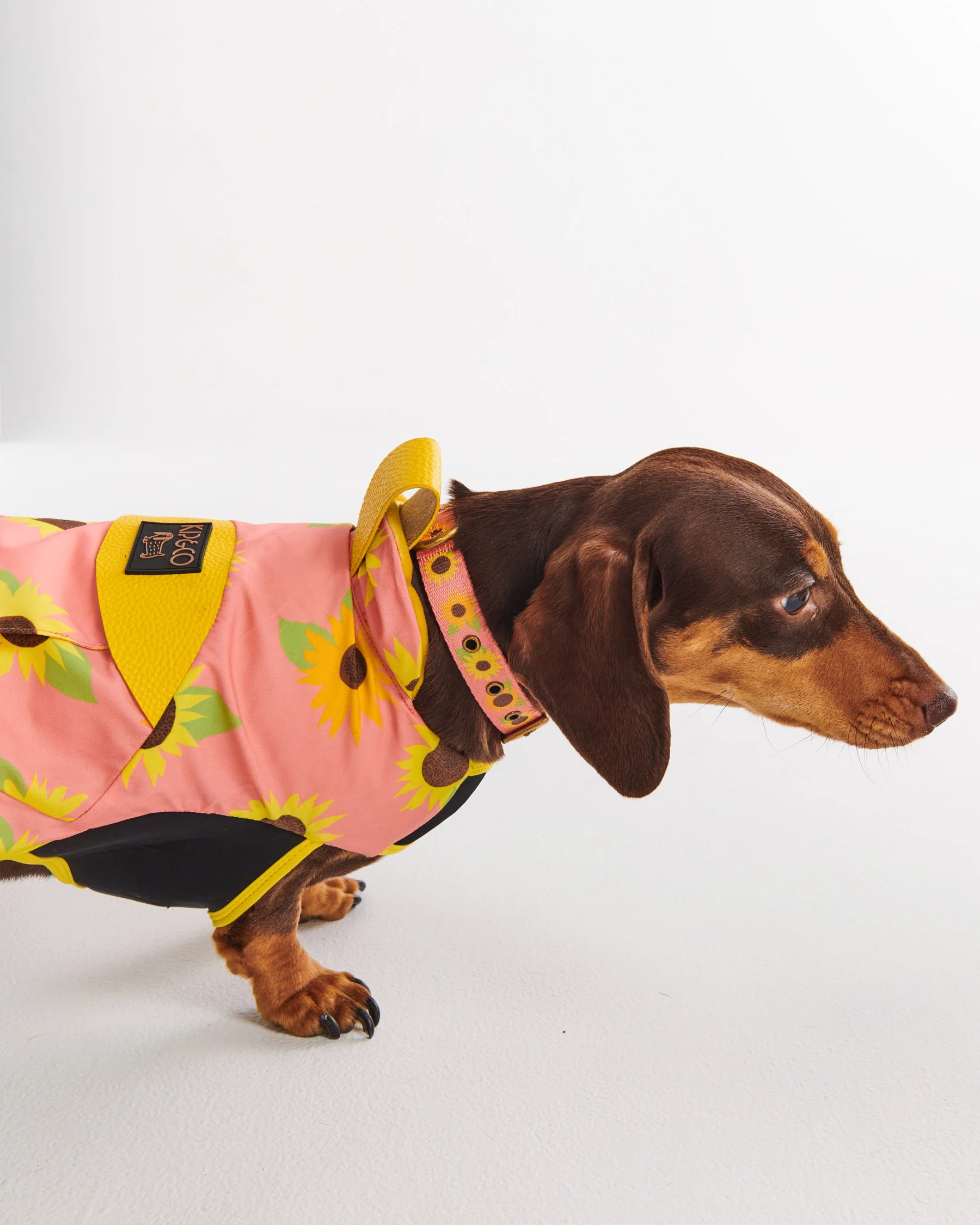 Sunflower Sunshine Dog Jacket - Image 5